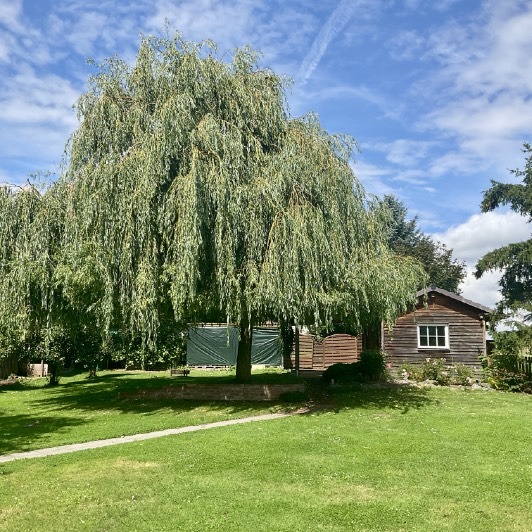 Immobilie Zweifamilienhaus in Bernshausen am See